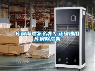 行業(yè)新聞庫房潮濕怎么辦？正確選用庫房除濕機