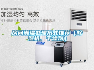 行業(yè)新聞房間潮濕處理方式推薦（除濕機(jī)、干燥劑）