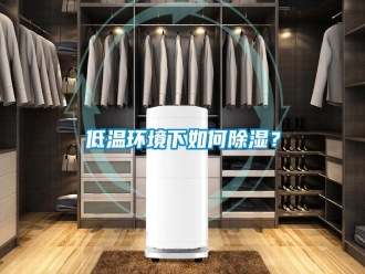 行業(yè)新聞低溫環(huán)境下如何除濕？