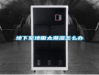 行業(yè)新聞地下室地面太潮濕怎么辦