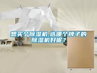 行業(yè)新聞想買個(gè)除濕機(jī),選哪個(gè)牌子的除濕機(jī)好呢？