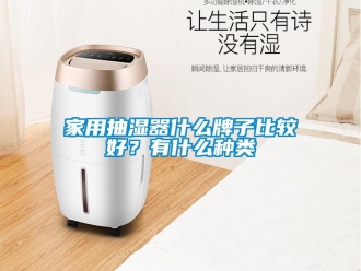 企業(yè)新聞家用抽濕器什么牌子比較好？有什么種類
