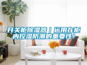 行業(yè)新聞開關柜除濕器｜運用在柜內控濕防潮的重要性！