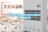 徐州除濕機(jī)_徐州除濕機(jī)價格_抽濕機(jī)