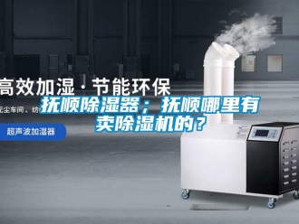 行業(yè)新聞?chuàng)犴槼凉衿鳎粨犴樐睦镉匈u除濕機的？