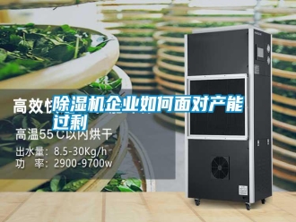 行業(yè)新聞除濕機企業(yè)如何面對產(chǎn)能過剩