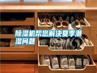 行業(yè)新聞除濕機(jī)幫您解決夏季潮濕問(wèn)題