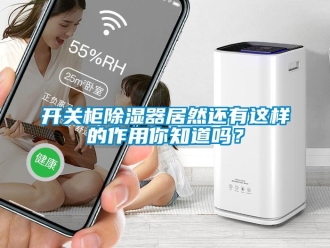 行業(yè)新聞開關柜除濕器居然還有這樣的作用你知道嗎？