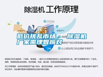 行業(yè)新聞低價擾亂市場， 除濕機廠家需理智應(yīng)對