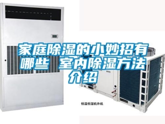 企業(yè)新聞家庭除濕的小妙招有哪些 室內除濕方法介紹