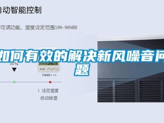 企業(yè)新聞如何有效的解決新風噪音問題