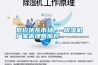 低價(jià)擾亂市場(chǎng)， 除濕機(jī)廠家需理智應(yīng)對(duì)
