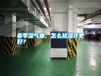 行業(yè)新聞春季濕氣重，怎么祛濕才更好？