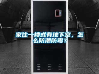 企業(yè)新聞家住一樓或有地下室，怎么防潮防霉？