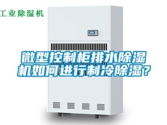 行業(yè)新聞微型控制柜排水除濕機如何進行制冷除濕？