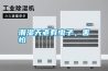 潮濕天老有蟲子，害怕