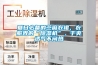 夏日必備的苧麻衣裙，衣服界的“除濕機(jī)”，干爽透氣不悶熱