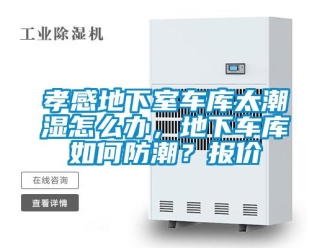 企業(yè)新聞孝感地下室車庫太潮濕怎么辦，地下車庫如何防潮？報價
