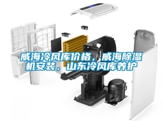 企業(yè)新聞威海冷風(fēng)庫價(jià)格，威海除濕機(jī)安裝，山東冷風(fēng)庫養(yǎng)護(hù)