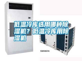 行業(yè)新聞低溫冷庫(kù)選用哪種除濕機(jī)？低溫冷庫(kù)用除濕機(jī)
