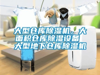 企業(yè)新聞大型倉庫除濕機(jī)，大面積倉庫除濕設(shè)備 大型地下倉庫除濕機(jī)