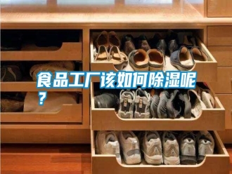 知識(shí)百科食品工廠該如何除濕呢？