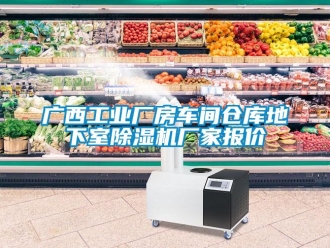 企業(yè)新聞廣西工業(yè)廠房車間倉庫地下室除濕機(jī)廠家報(bào)價