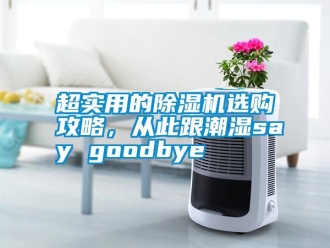 行業(yè)新聞超實(shí)用的除濕機(jī)選購攻略，從此跟潮濕say goodbye