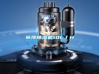 行業(yè)新聞吊頂除濕機10L／H