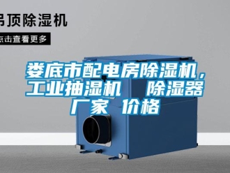 企業(yè)新聞婁底市配電房除濕機(jī)，工業(yè)抽濕機(jī)  除濕器廠家 價(jià)格