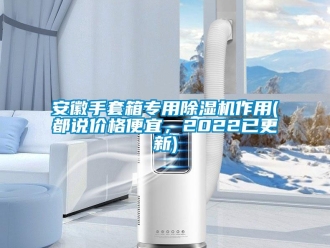 企業(yè)新聞安徽手套箱專用除濕機(jī)作用(都說價(jià)格便宜，2022已更新)