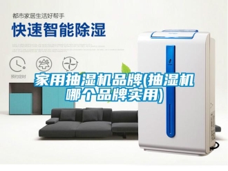 企業(yè)新聞家用抽濕機(jī)品牌(抽濕機(jī)哪個品牌實(shí)用)