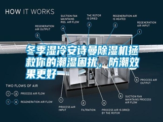 行業(yè)新聞冬季濕冷安詩曼除濕機拯救你的潮濕困擾，防潮效果更好