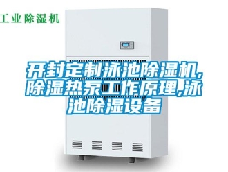 行業(yè)新聞開封定制泳池除濕機,除濕熱泵工作原理,泳池除濕設備