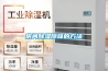 房間除濕除味的方法