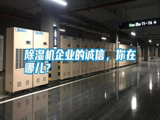 行業(yè)新聞除濕機企業(yè)的誠信，你在哪兒？