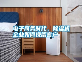 行業(yè)新聞電子商務(wù)時代，除濕機(jī)企業(yè)如何挽留客戶