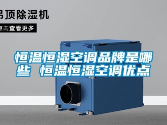知識百科恒溫恒濕空調(diào)品牌是哪些 恒溫恒濕空調(diào)優(yōu)點(diǎn)