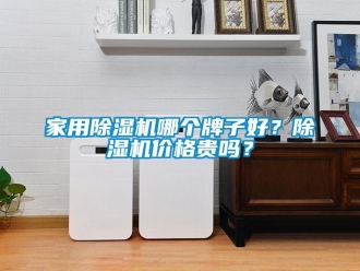 企業(yè)新聞家用除濕機哪個牌子好？除濕機價格貴嗎？