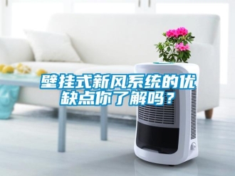 企業(yè)新聞壁掛式新風(fēng)系統(tǒng)的優(yōu)缺點(diǎn)你了解嗎？