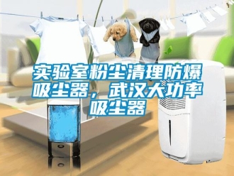 企業(yè)新聞實(shí)驗(yàn)室粉塵清理防爆吸塵器，武漢大功率吸塵器