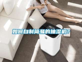 企業(yè)新聞如何自制簡(jiǎn)易的抽濕機(jī)？
