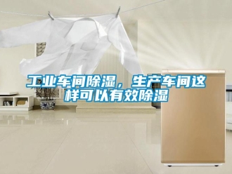 企業(yè)新聞工業(yè)車間除濕，生產(chǎn)車間這樣可以有效除濕
