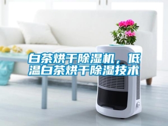 行業(yè)新聞白茶烘干除濕機，低溫白茶烘干除濕技術(shù)