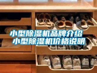 企業(yè)新聞小型除濕機品牌介紹 小型除濕機價格說明