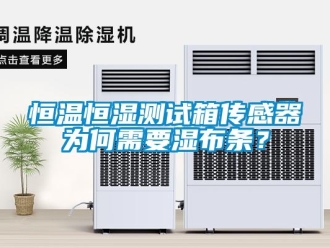 知識(shí)百科恒溫恒濕測(cè)試箱傳感器為何需要濕布條？
