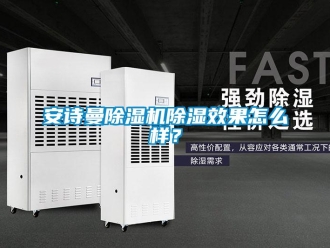 企業(yè)新聞安詩曼除濕機除濕效果怎么樣？