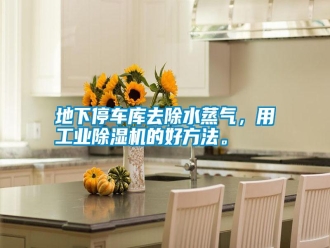 行業(yè)新聞地下停車庫去除水蒸氣，用工業(yè)除濕機(jī)的好方法。