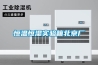 恒溫恒濕實(shí)驗(yàn)箱北京廠