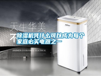 行業(yè)新聞除濕機(jī)憑什么可以成為每個(gè)家庭必買(mǎi)電器之一